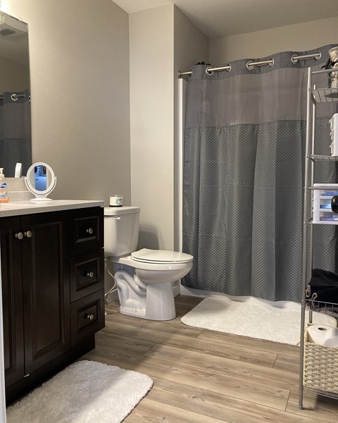 a bathroom with a shower and a toilet and a sink