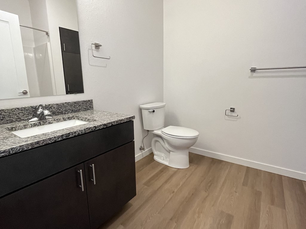 a bathroom with a toilet and a sink and a mirror