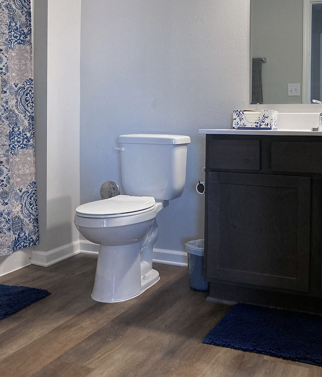 a bathroom with a toilet and a sink and a mirror
