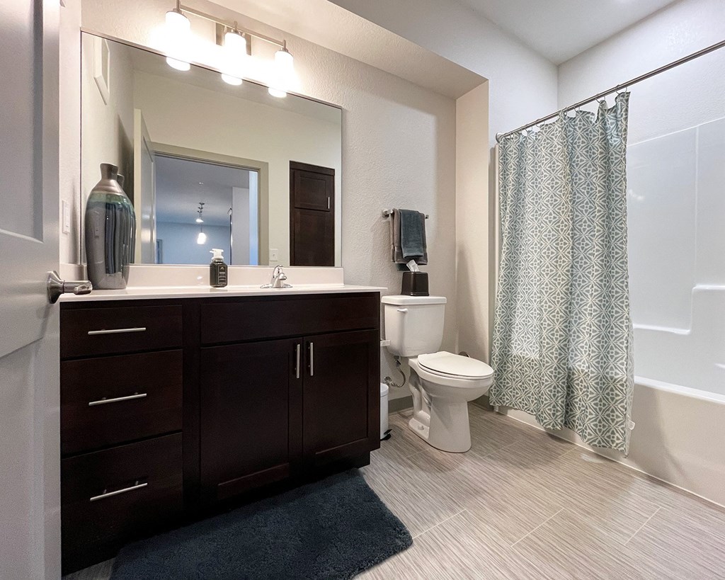 a bathroom with a shower toilet and sink and a mirror