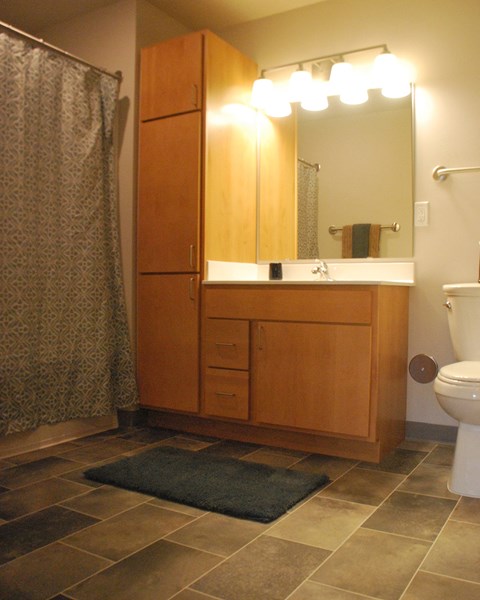 a bathroom with a toilet and a sink and a mirror