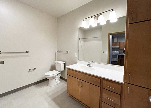 a bathroom with a sink and a toilet and a mirror