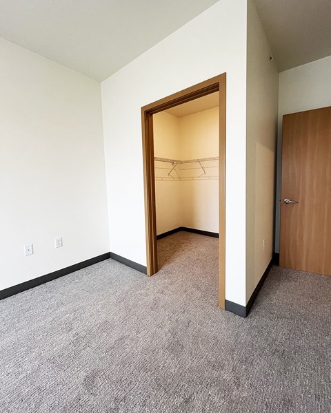 A room with a door open to a closet.