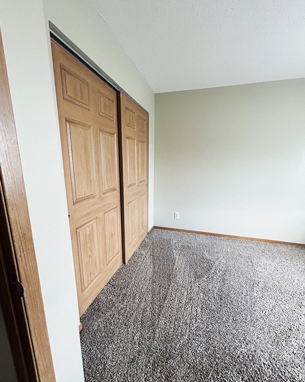 A room with a carpeted floor and a wooden door.