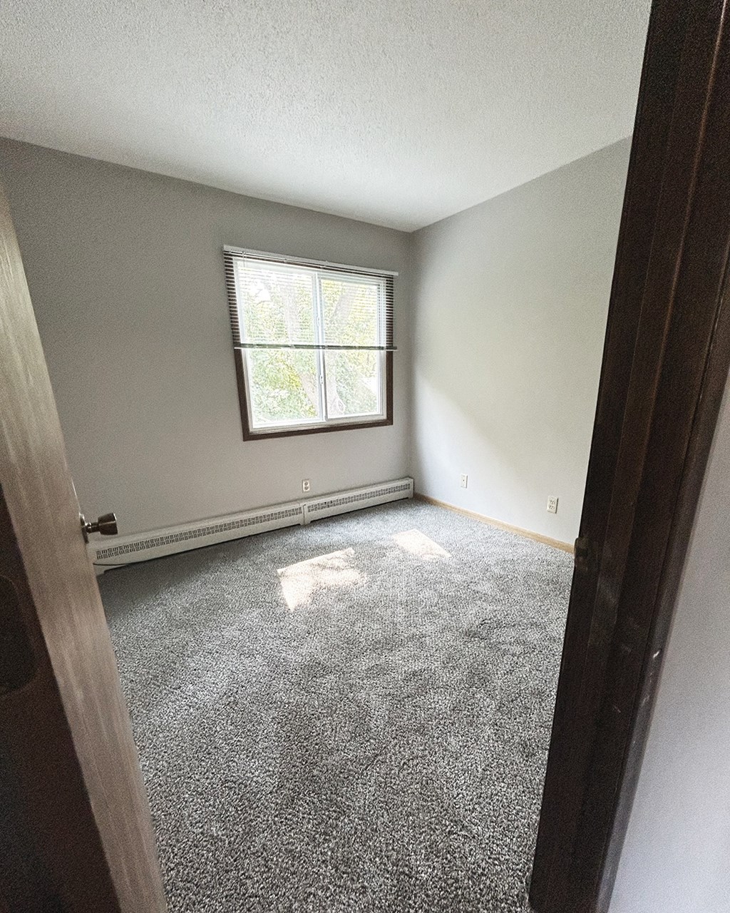 an empty bedroom with a window and a carpeted floor