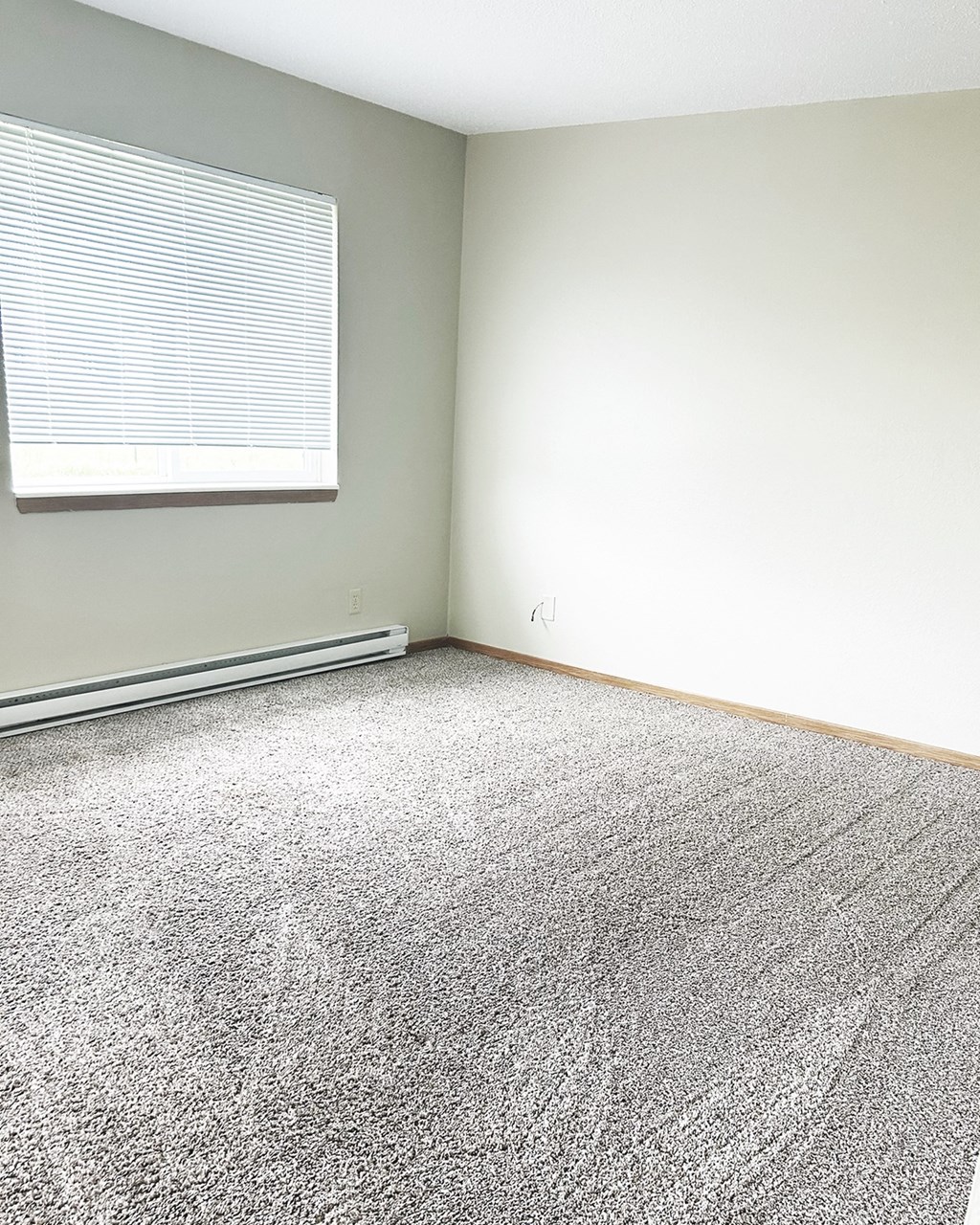 A room with a carpeted floor and a window with blinds.