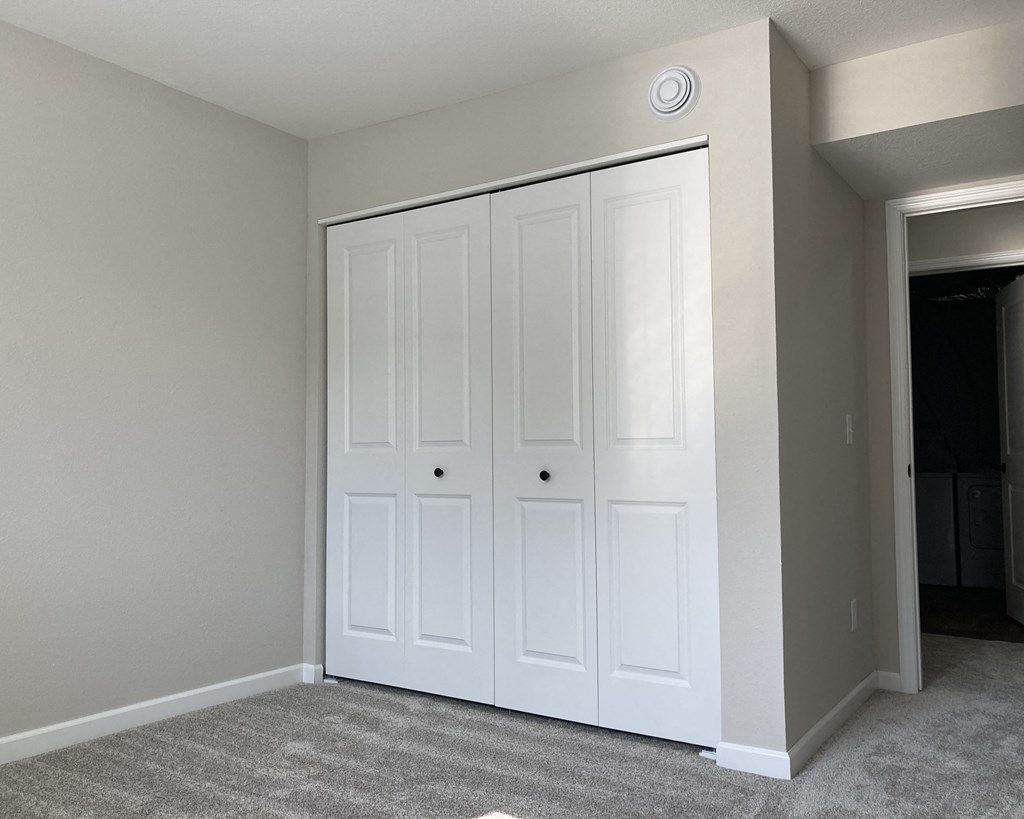 a bedroom with two closets and a carpeted floor