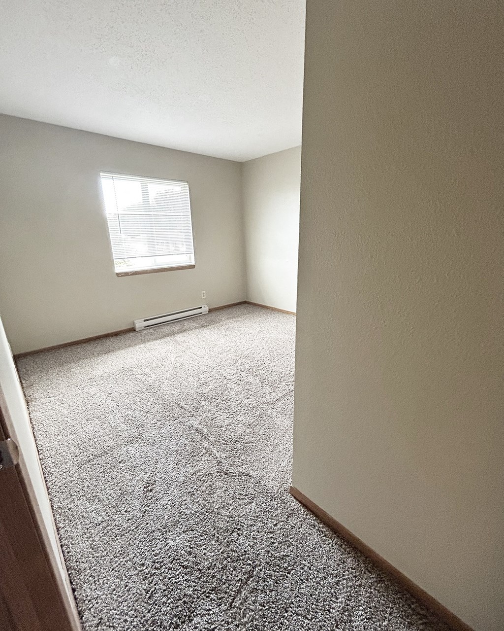 A room with a carpeted floor and a window.