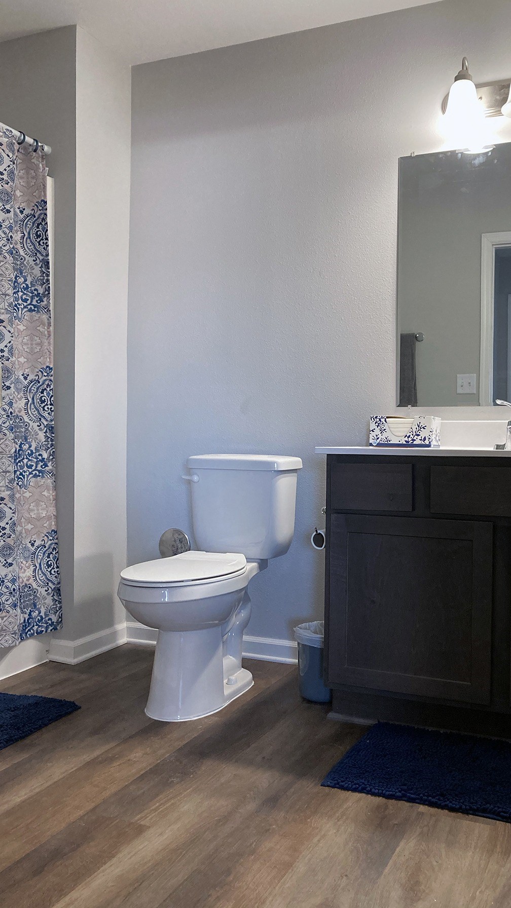 A white toilet in a bathroom with a blue rug on the floor.