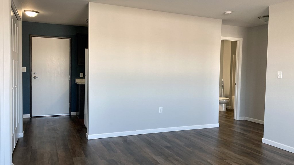 A room with a white wall and a door.