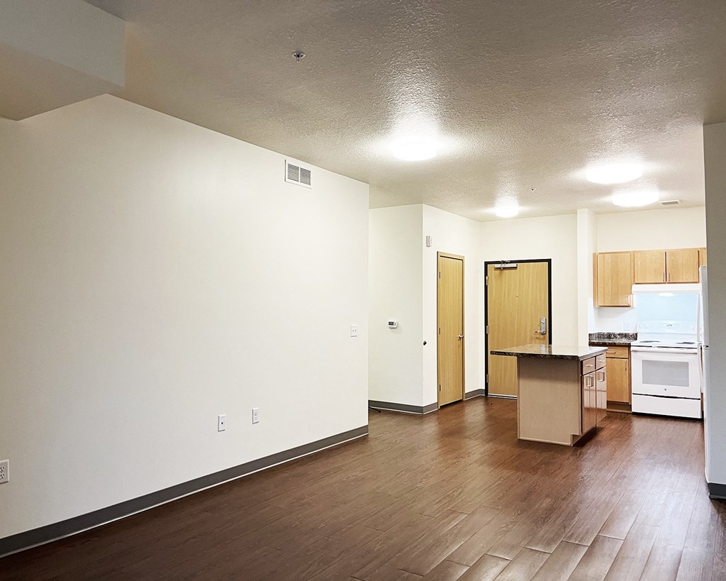 A kitchen area with a counter and cabinets.
