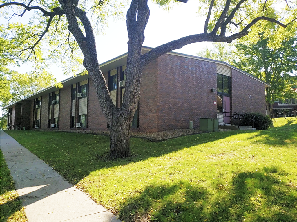 A tree in front of a brick building.
