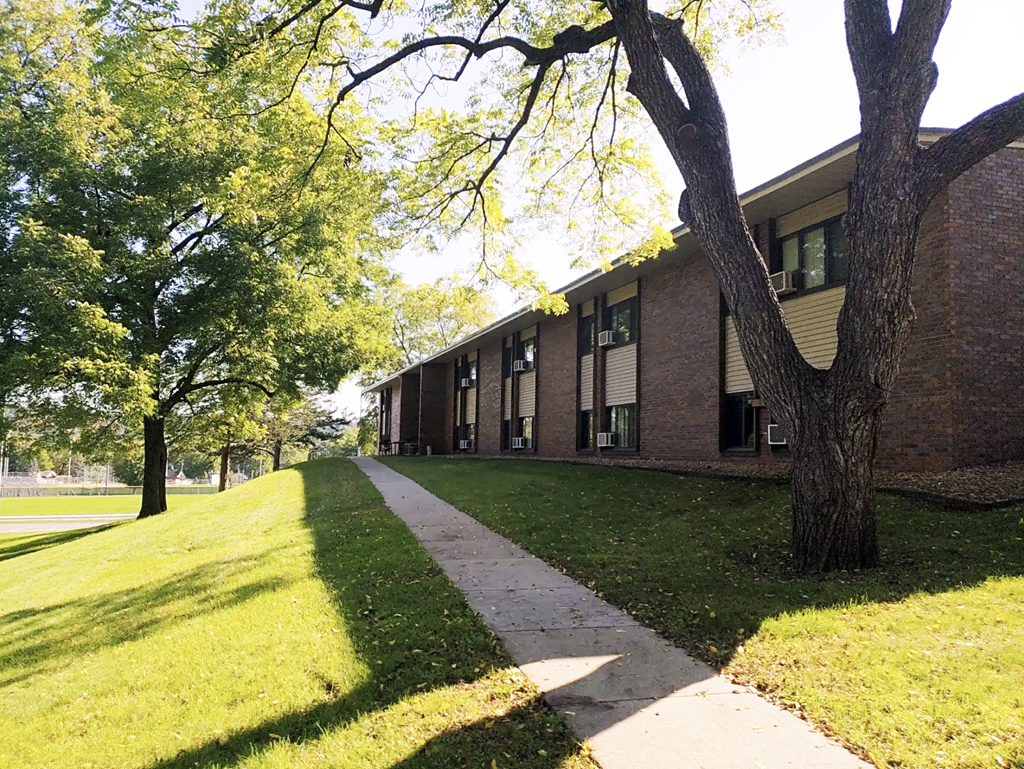 A tree is in front of a building.