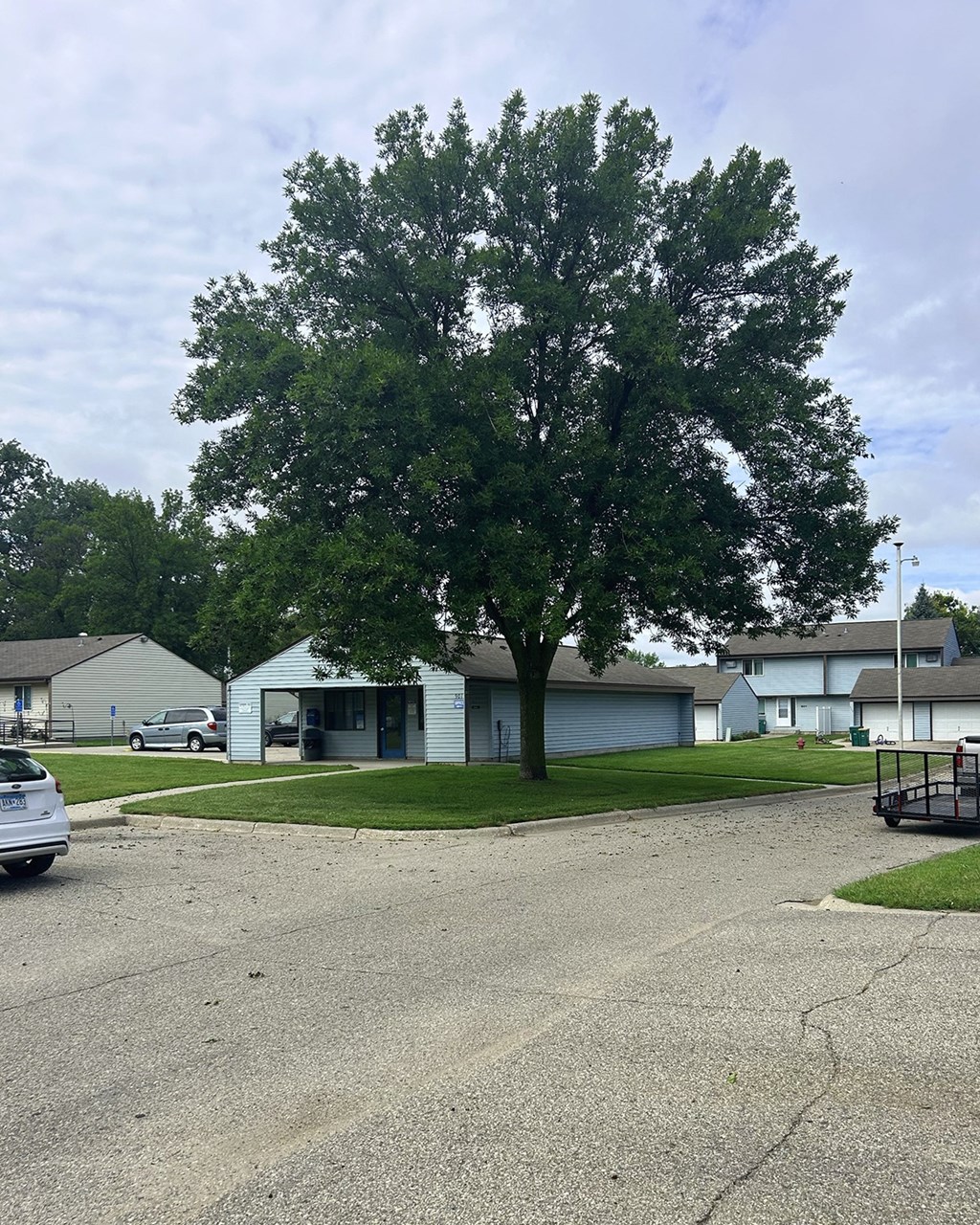 A tree in a grassy area in front of a building.