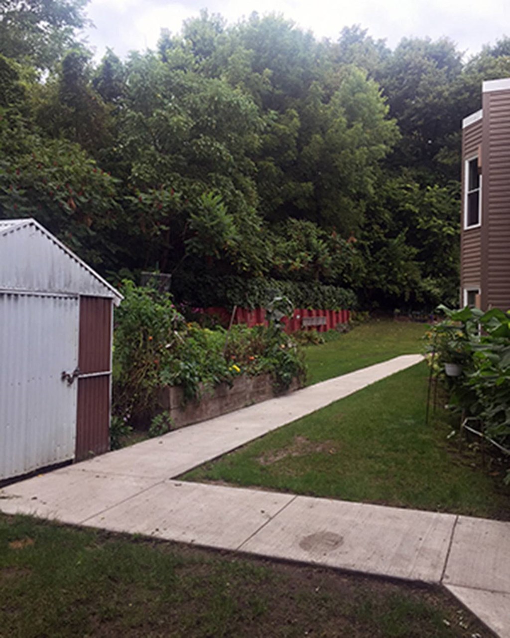 a sidewalk leading into a garden with a shed and a fence