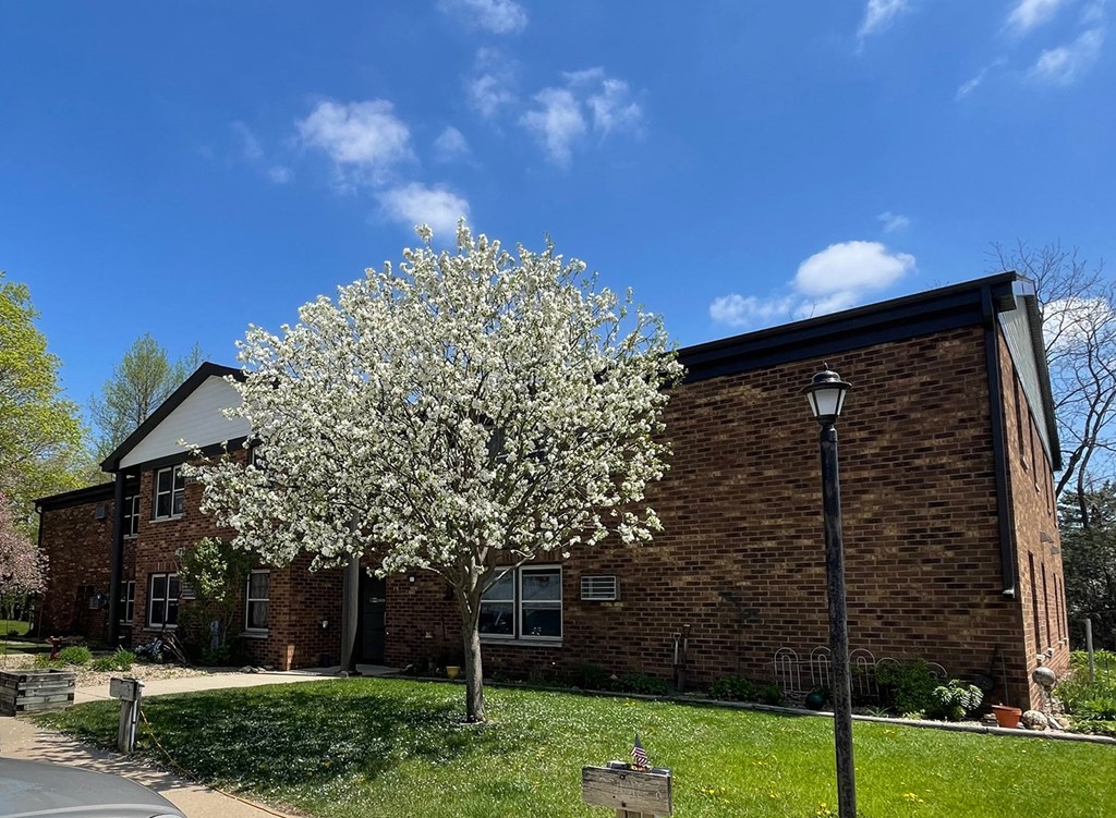 a tree in front of a brick building