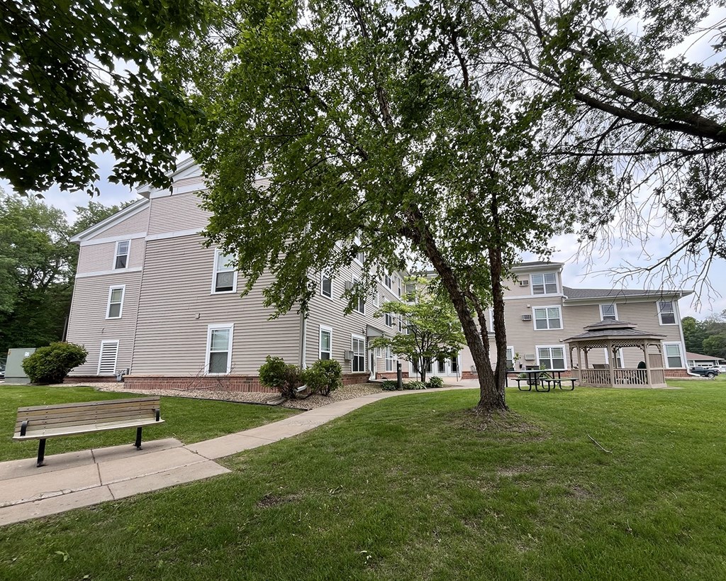 A large tree in front of a building with a bench in the foreground.