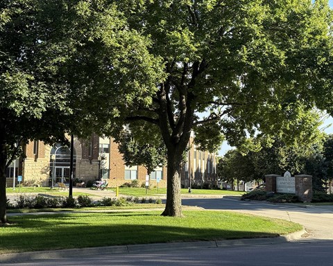 A tree in front of a brick building with a sign that says "Ashland".