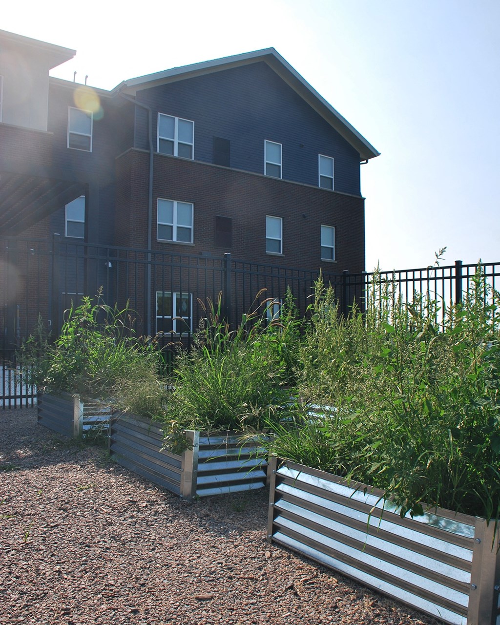 a view of the back of a building with a garden in front of it