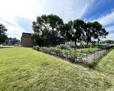 A grassy field with a fence and a building in the background.