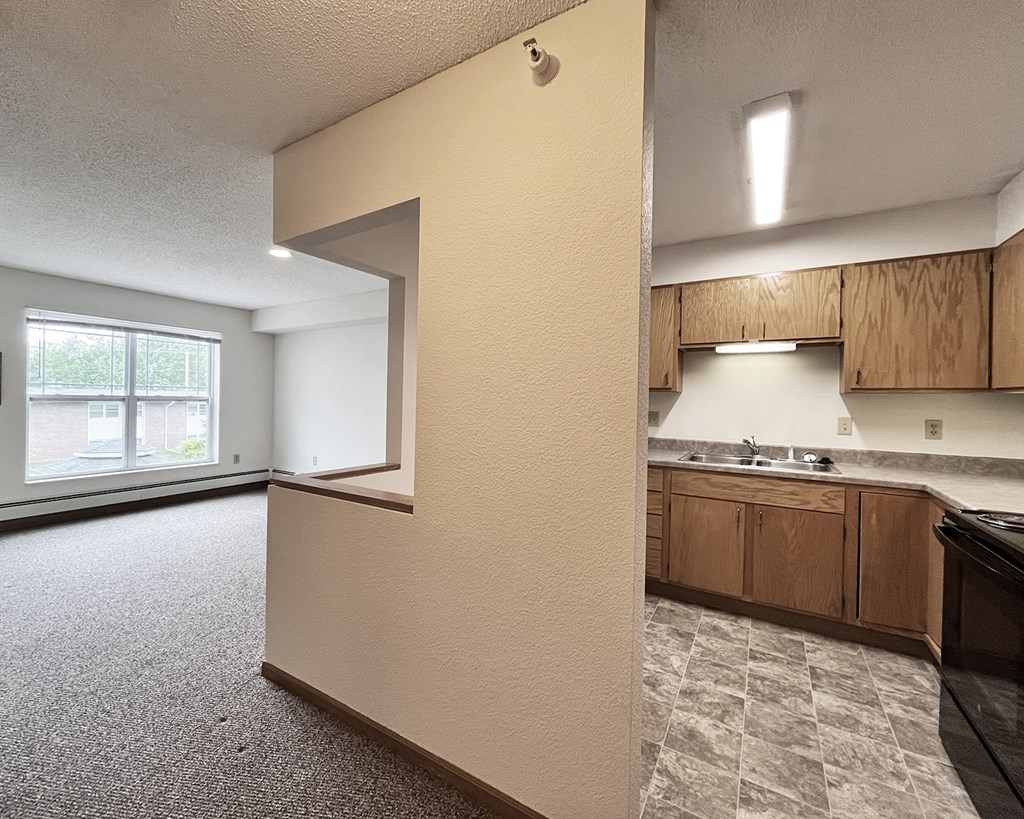 A kitchen area with a sink and cabinets.