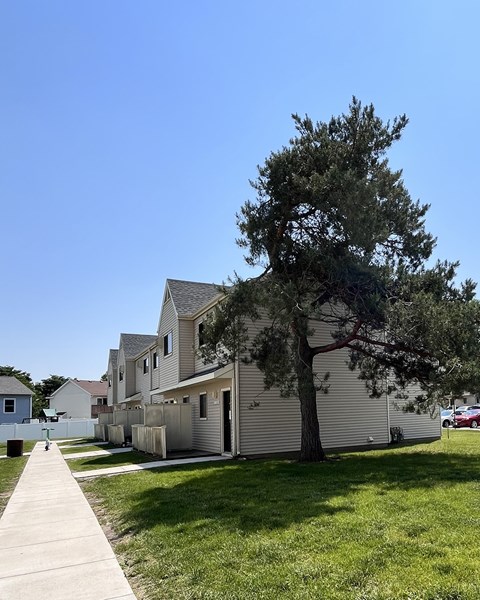 A tree stands next to a house with a grey facade.