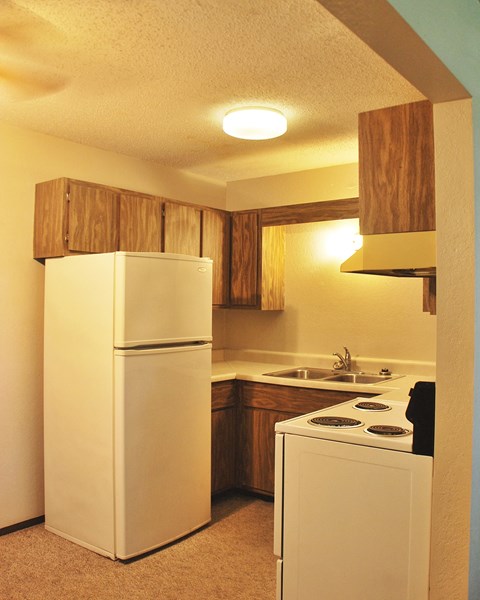 a kitchen with a refrigerator and a stove and a sink