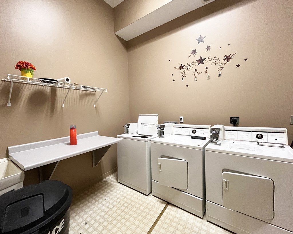 A laundromat with washers and dryers and a shelf with a flower pot and a roll of towels.