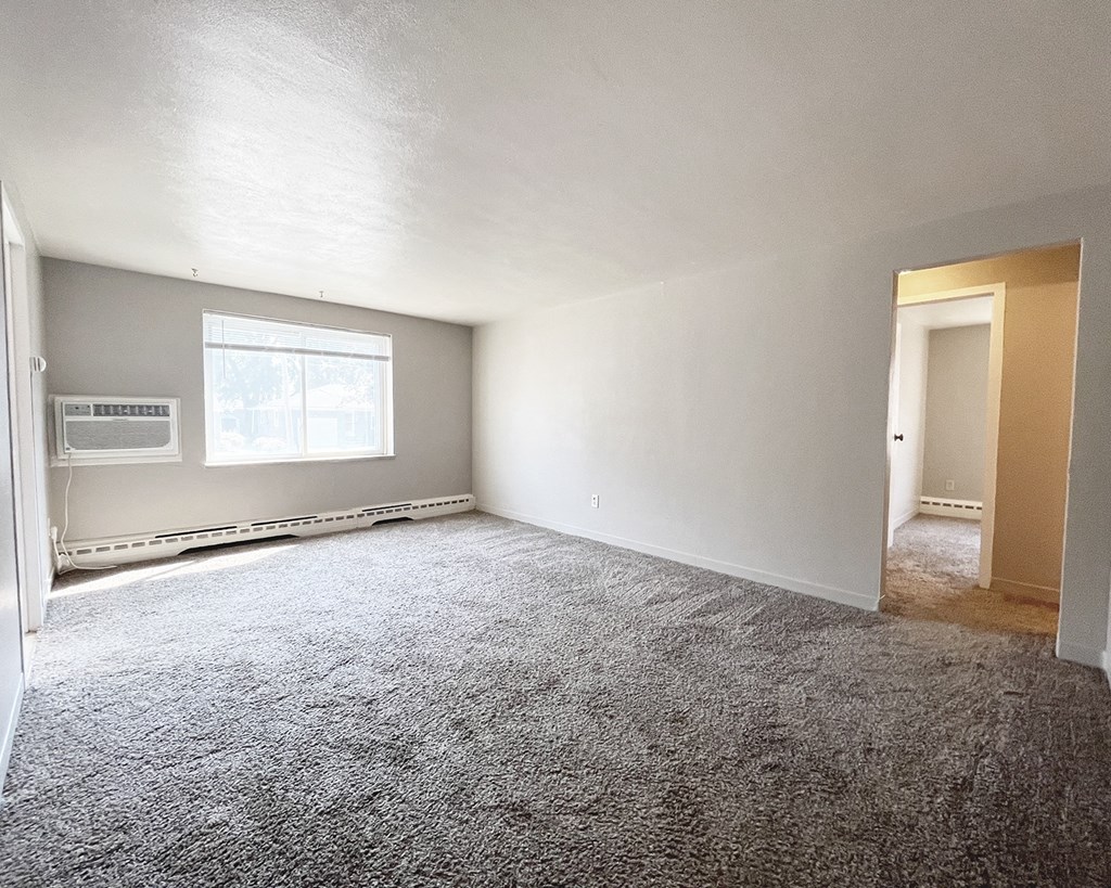 an empty living room with carpet and a window