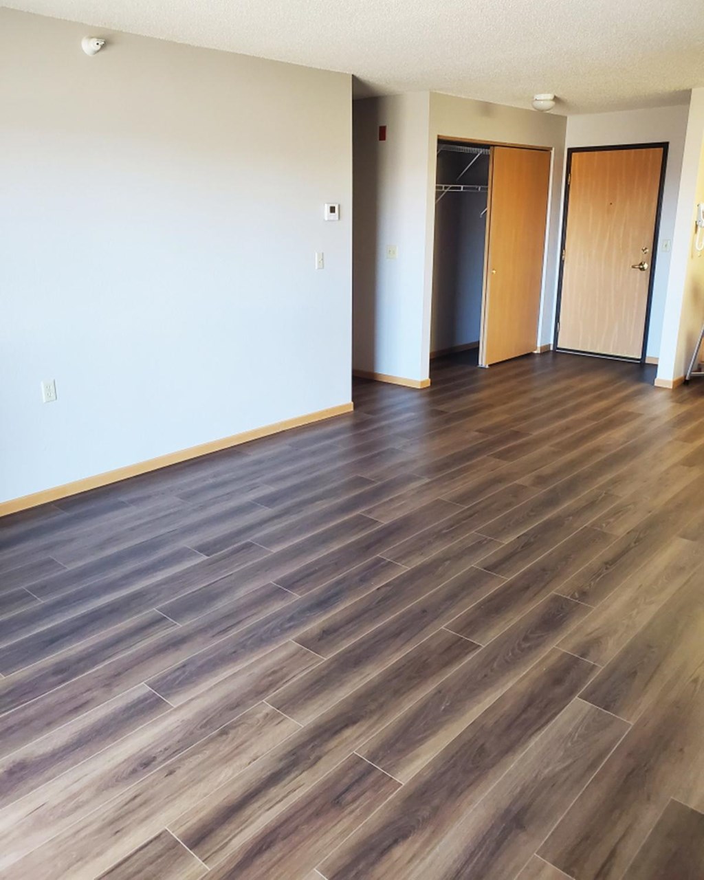 A room with wooden flooring and two doors.