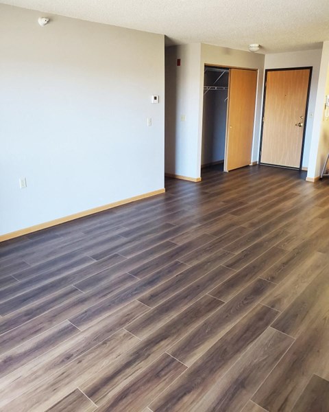 A room with wooden flooring and two doors.