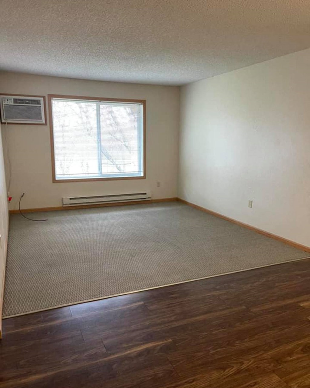 an empty room with a wood floor and a window