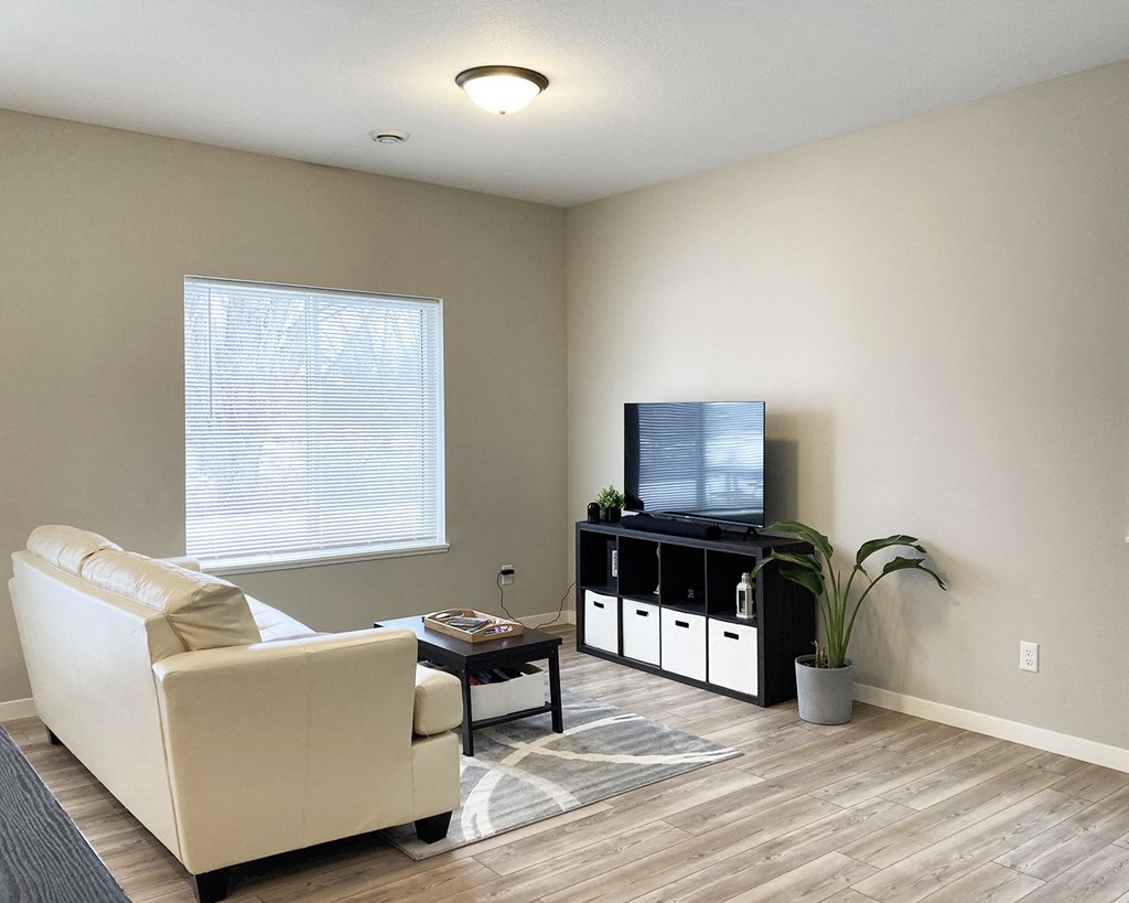 a living room with a couch and a tv