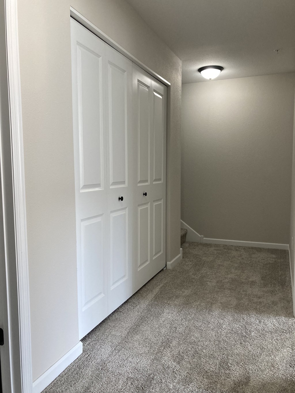 a bedroom with two closets and a carpeted floor