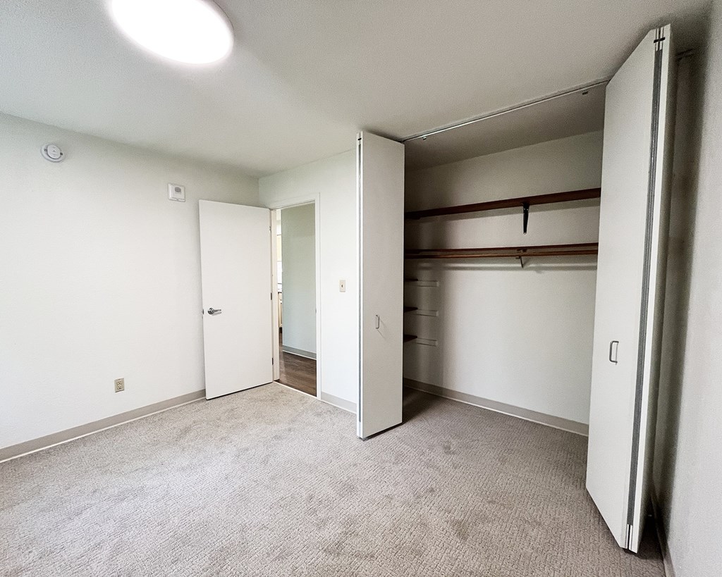 A white room with a carpeted floor and a closet with a shelf.
