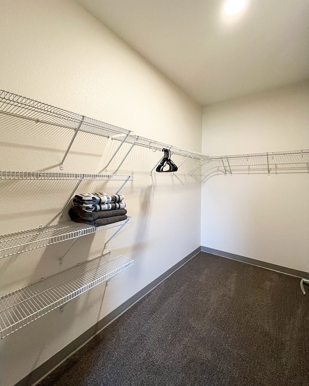 a spacious closet with wire shelving and a carpeted floor