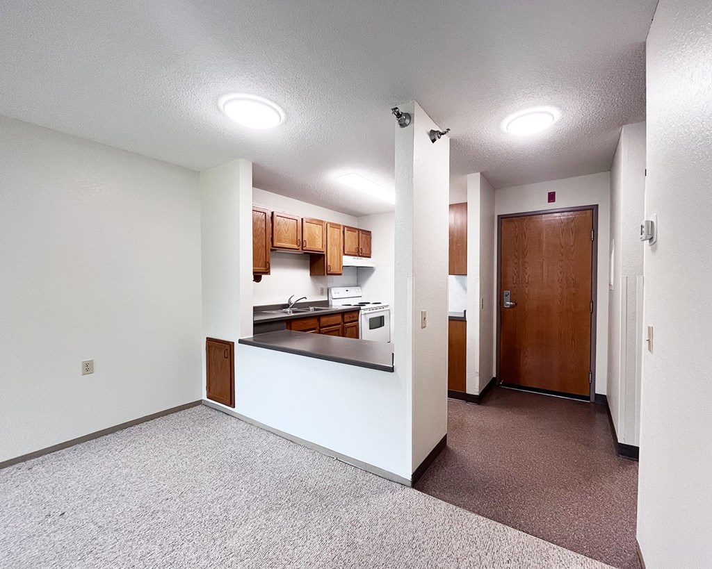 A kitchen area with a counter and cabinets.