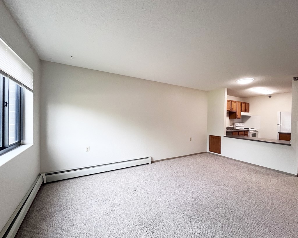 A large empty room with a carpeted floor and a window on the left side.