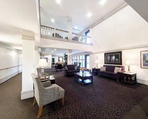 A living room with a grey carpet and furniture.