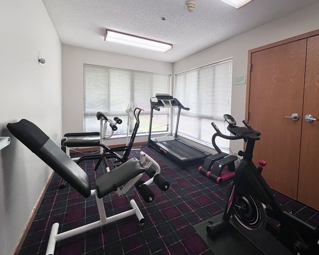 A gym room with a treadmill, a stationary bike, and a bench press.