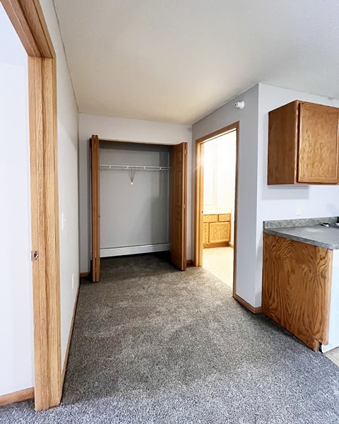 A room with a grey carpet and a white wall.
