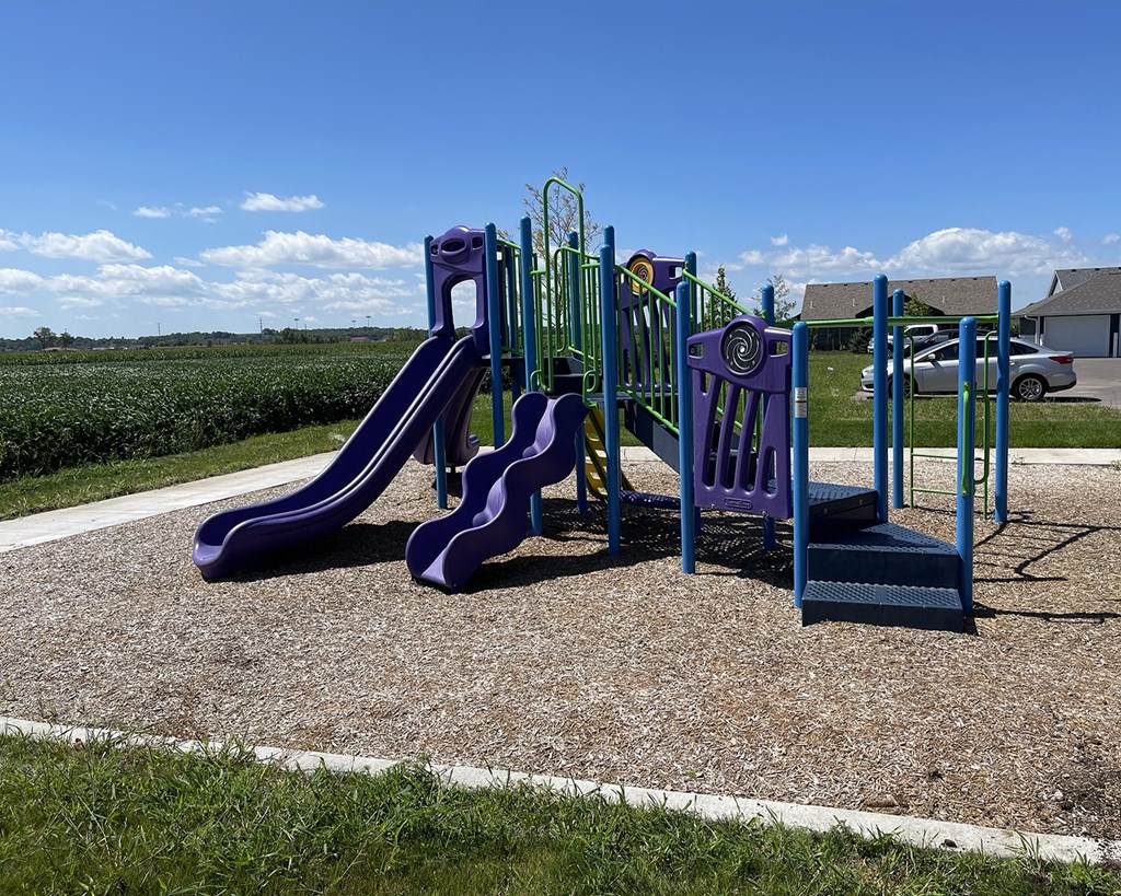 a playground with slides and a swing set