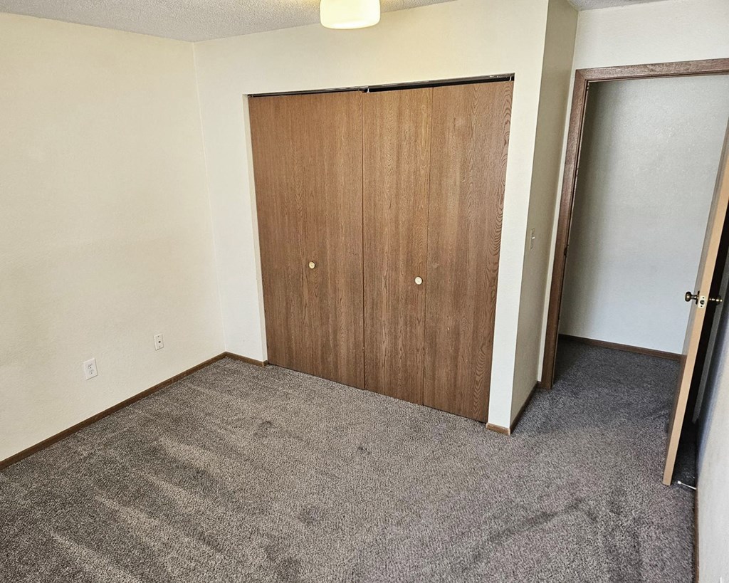 A room with a brown door and carpeted floor.