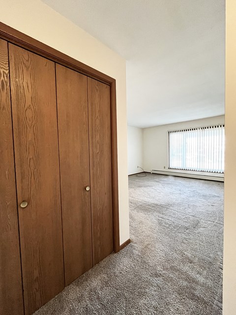 A room with a brown wardrobe and carpeted floor.