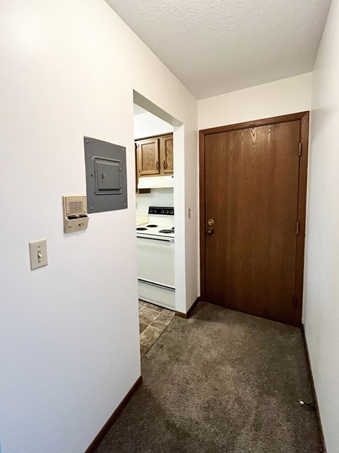 A white wall with a switch and a door.