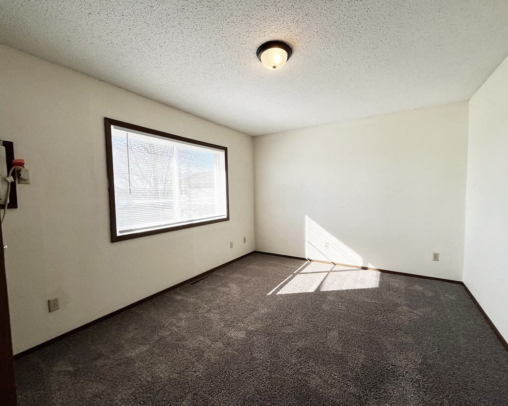 A room with a window and a carpet on the floor.