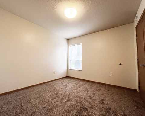 A room with a carpeted floor and a window.