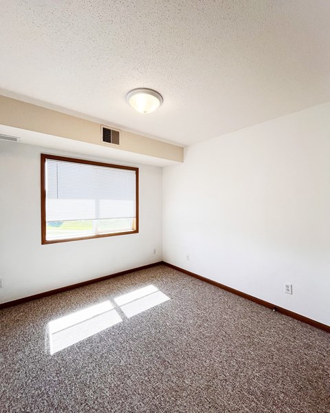A room with a window and a carpet on the floor.