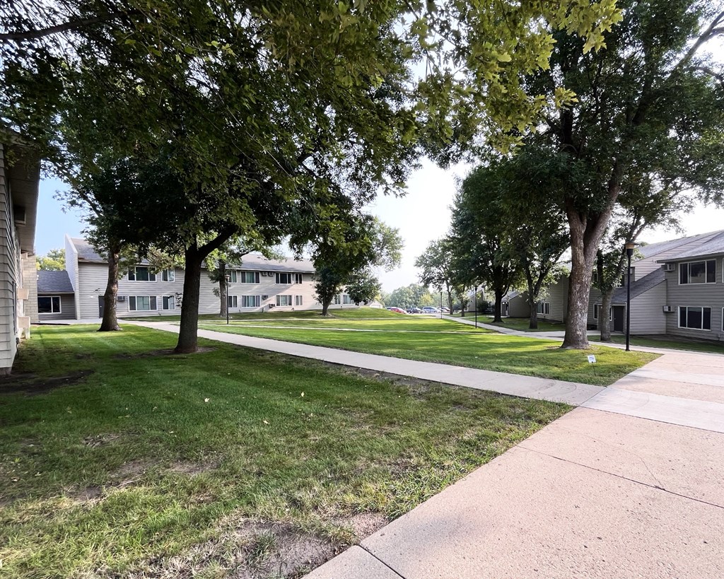 A tree-lined walkway leads to a building.