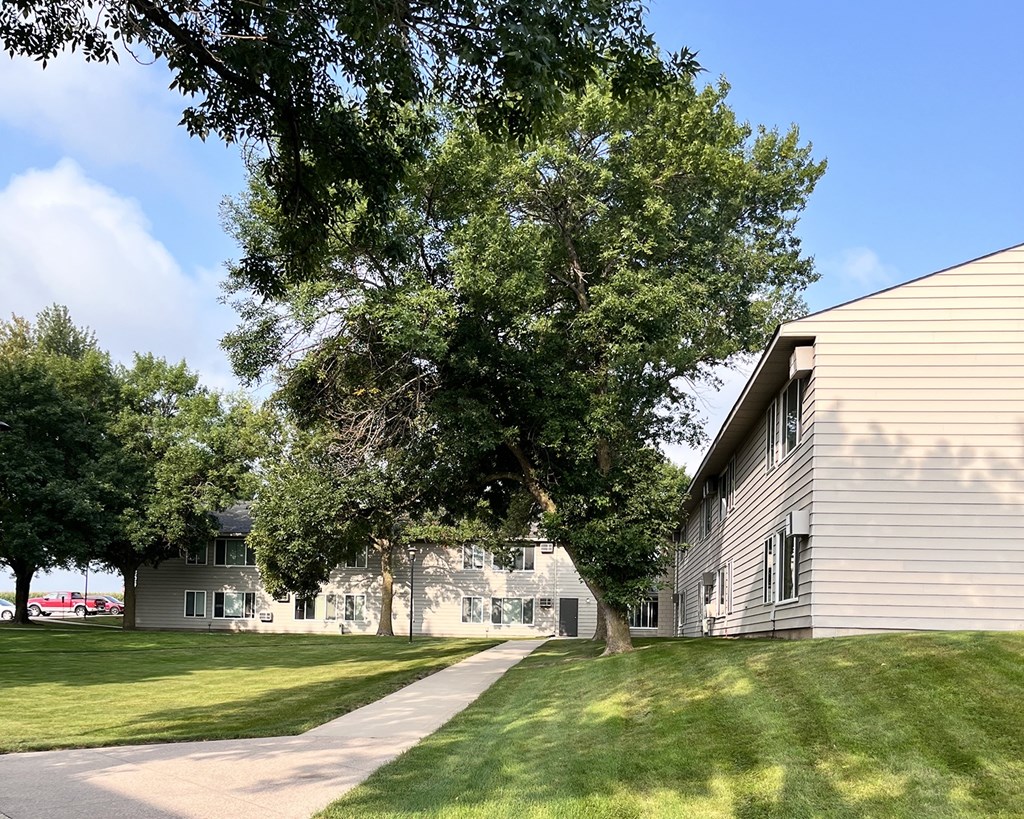 A tree in front of a building with a clear blue sky.
